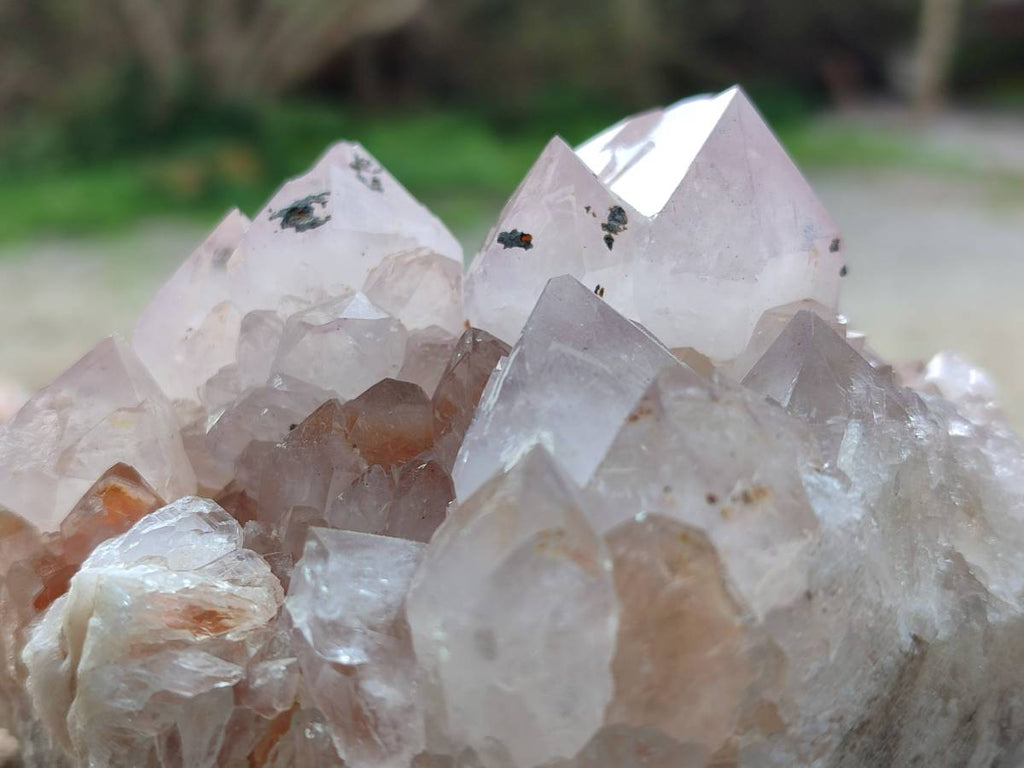 Natural Ametrine Spirit Quartz Clusters x 2 From Boekenhouthoek, South Africa - Toprock Gemstones and Minerals 