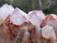 Natural Ametrine Spirit Quartz Clusters x 2 From Boekenhouthoek, South Africa