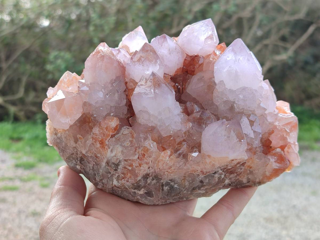 Natural Ametrine Spirit Quartz Clusters x 2 From Boekenhouthoek, South Africa - Toprock Gemstones and Minerals 