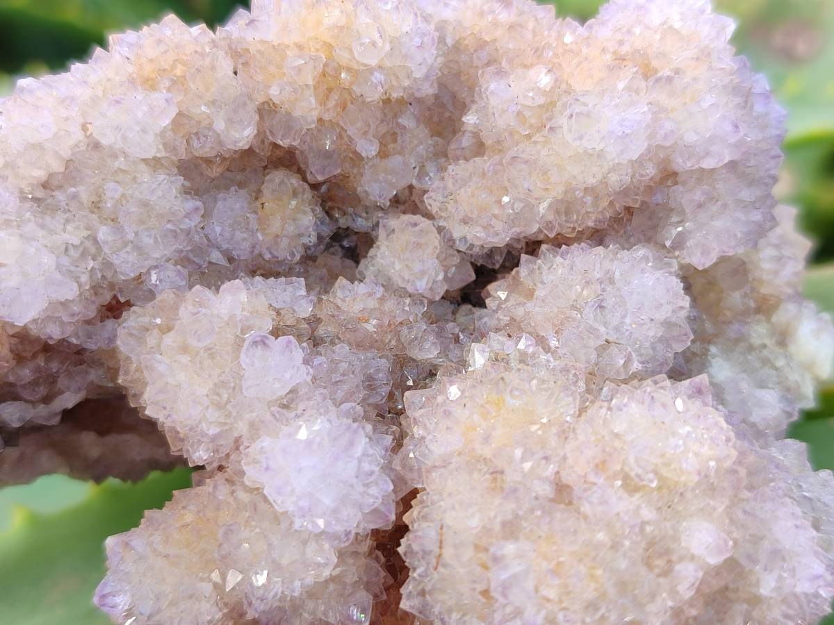 Natural Lilac Spirit Quartz Clusters x 6 From Boekenhouthoek, South Africa - Toprock Gemstones and Minerals 