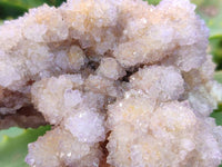 Natural Lilac Spirit Quartz Clusters x 6 From Boekenhouthoek, South Africa