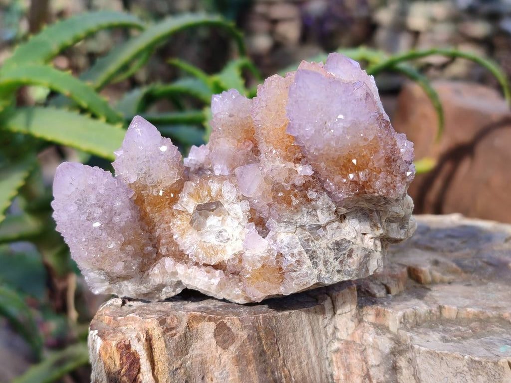 Natural Lilac Spirit Quartz Clusters x 6 From Boekenhouthoek, South Africa - Toprock Gemstones and Minerals 