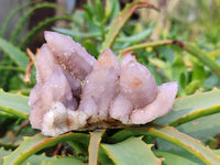 Natural Lilac Spirit Quartz Clusters x 6 From Boekenhouthoek, South Africa