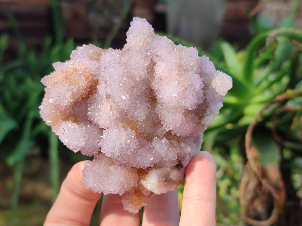 Natural Lilac Spirit Quartz Clusters x 6 From Boekenhouthoek, South Africa - Toprock Gemstones and Minerals 