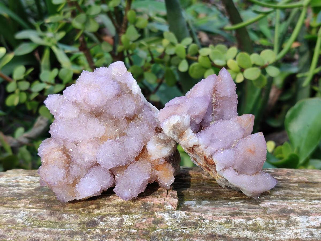 Natural Lilac Spirit Quartz Clusters x 6 From Boekenhouthoek, South Africa - Toprock Gemstones and Minerals 