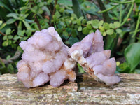 Natural Lilac Spirit Quartz Clusters x 6 From Boekenhouthoek, South Africa
