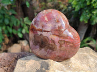 Polished Fossilized Podocarpus Petrified Wood Hearts x 2 From Mahajanga, Madagascar