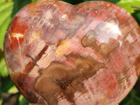 Polished Fossilized Podocarpus Petrified Wood Hearts x 2 From Mahajanga, Madagascar