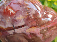 Polished Fossilized Podocarpus Petrified Wood Hearts x 2 From Mahajanga, Madagascar