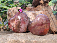 Polished Fossilized Podocarpus Petrified Wood Hearts x 2 From Mahajanga, Madagascar
