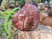Polished Fossilized Podocarpus Petrified Wood Hearts x 2 From Mahajanga, Madagascar