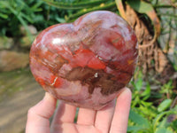 Polished Fossilized Podocarpus Petrified Wood Hearts x 2 From Mahajanga, Madagascar