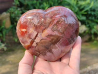 Polished Fossilized Podocarpus Petrified Wood Hearts x 2 From Mahajanga, Madagascar