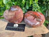 Polished Fossilized Podocarpus Petrified Wood Hearts x 2 From Mahajanga, Madagascar