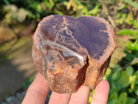 Polished on One Side Petrified Wood Branch Pieces x 6 From Gokwe, Zimbabwe - Toprock Gemstones and Minerals 