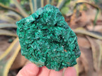 Natural Silky Malachite Specimens x 6 From Kasompe, Congo - Toprock Gemstones and Minerals 