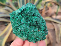 Natural Silky Malachite Specimens x 6 From Kasompe, Congo