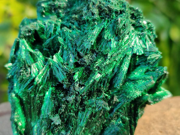 Natural Silky Malachite Specimens x 6 From Kasompe, Congo
