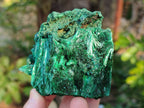 Natural Silky Malachite Specimens x 6 From Kasompe, Congo - Toprock Gemstones and Minerals 