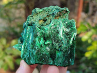 Natural Silky Malachite Specimens x 6 From Kasompe, Congo