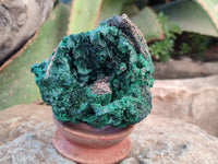Natural Silky Malachite Specimens x 6 From Kasompe, Congo