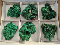 Natural Silky Malachite Specimens x 6 From Kasompe, Congo