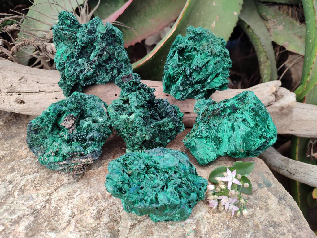 Natural Silky Malachite Specimens x 6 From Kasompe, Congo - Toprock Gemstones and Minerals 