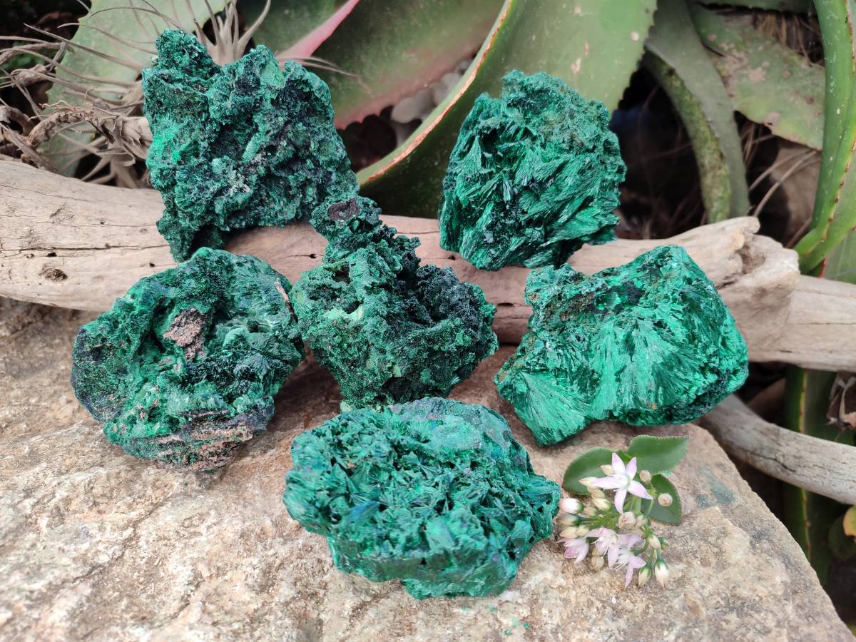 Natural Silky Malachite Specimens x 6 From Kasompe, Congo - Toprock Gemstones and Minerals 
