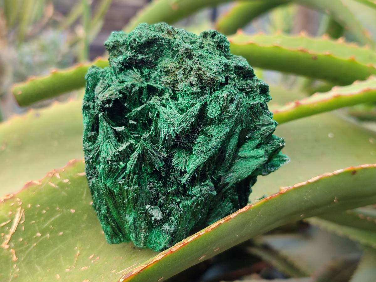 Natural Silky Malachite Specimens x 6 From Kasompe, Congo - Toprock Gemstones and Minerals 