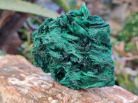 Natural Silky Malachite Specimens x 6 From Kasompe, Congo