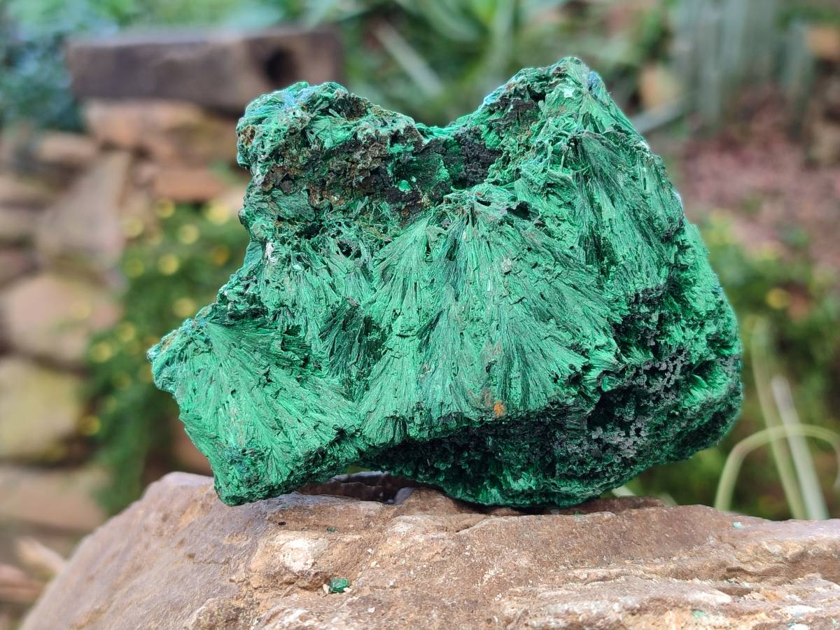Natural Silky Malachite Specimens x 6 From Kasompe, Congo - Toprock Gemstones and Minerals 