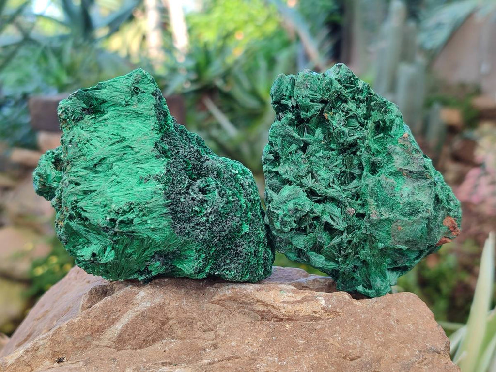 Natural Silky Malachite Specimens x 6 From Kasompe, Congo - Toprock Gemstones and Minerals 