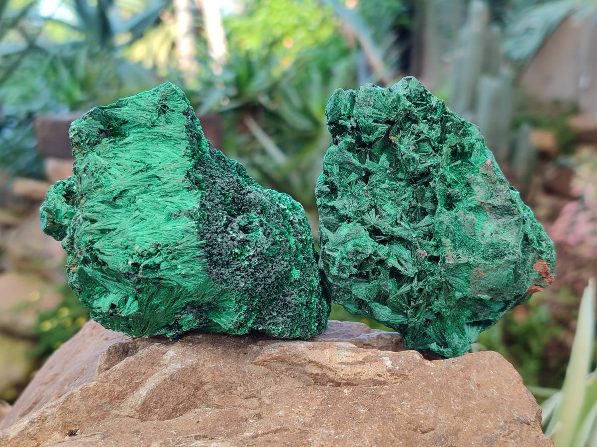 Natural Silky Malachite Specimens x 6 From Kasompe, Congo - Toprock Gemstones and Minerals 