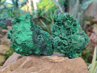 Natural Silky Malachite Specimens x 6 From Kasompe, Congo