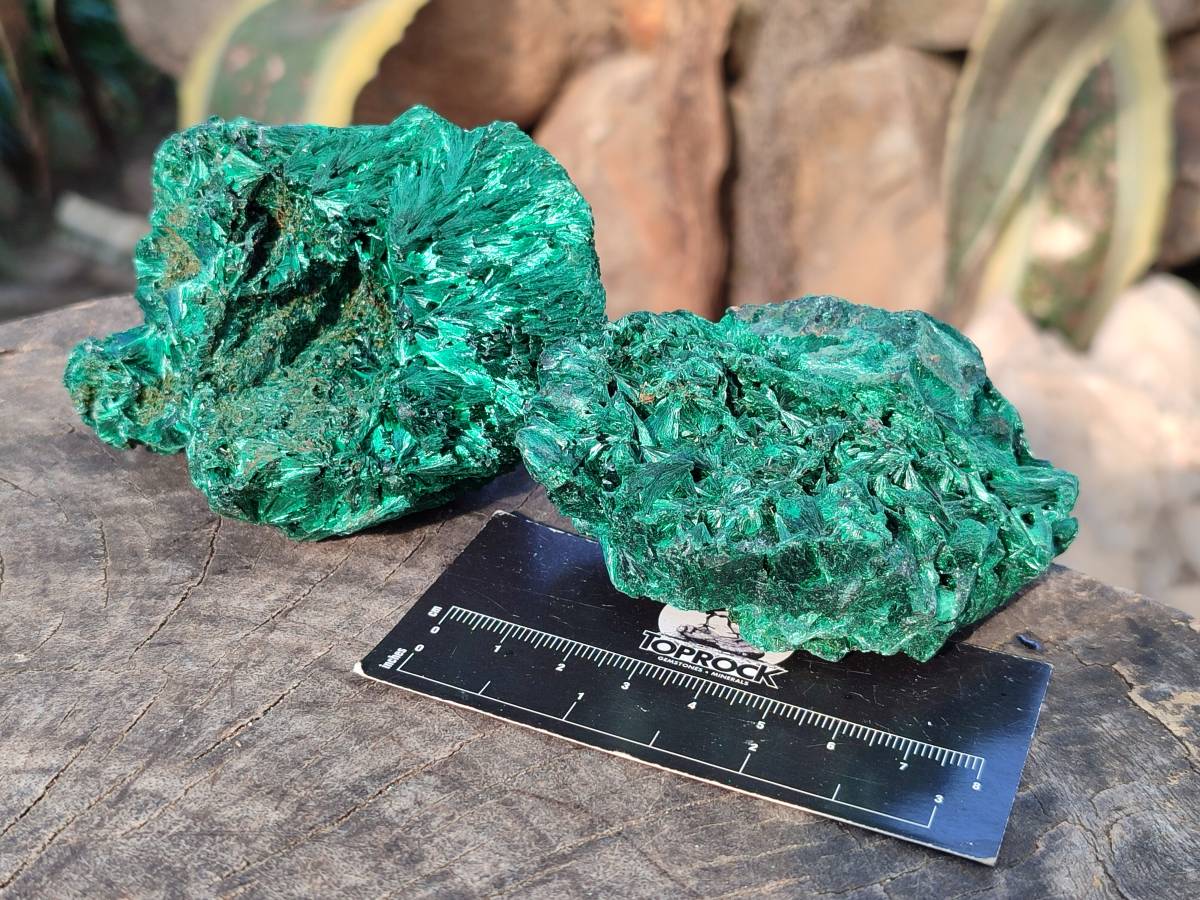 Natural Silky Malachite Specimens x 6 From Kasompe, Congo - Toprock Gemstones and Minerals 
