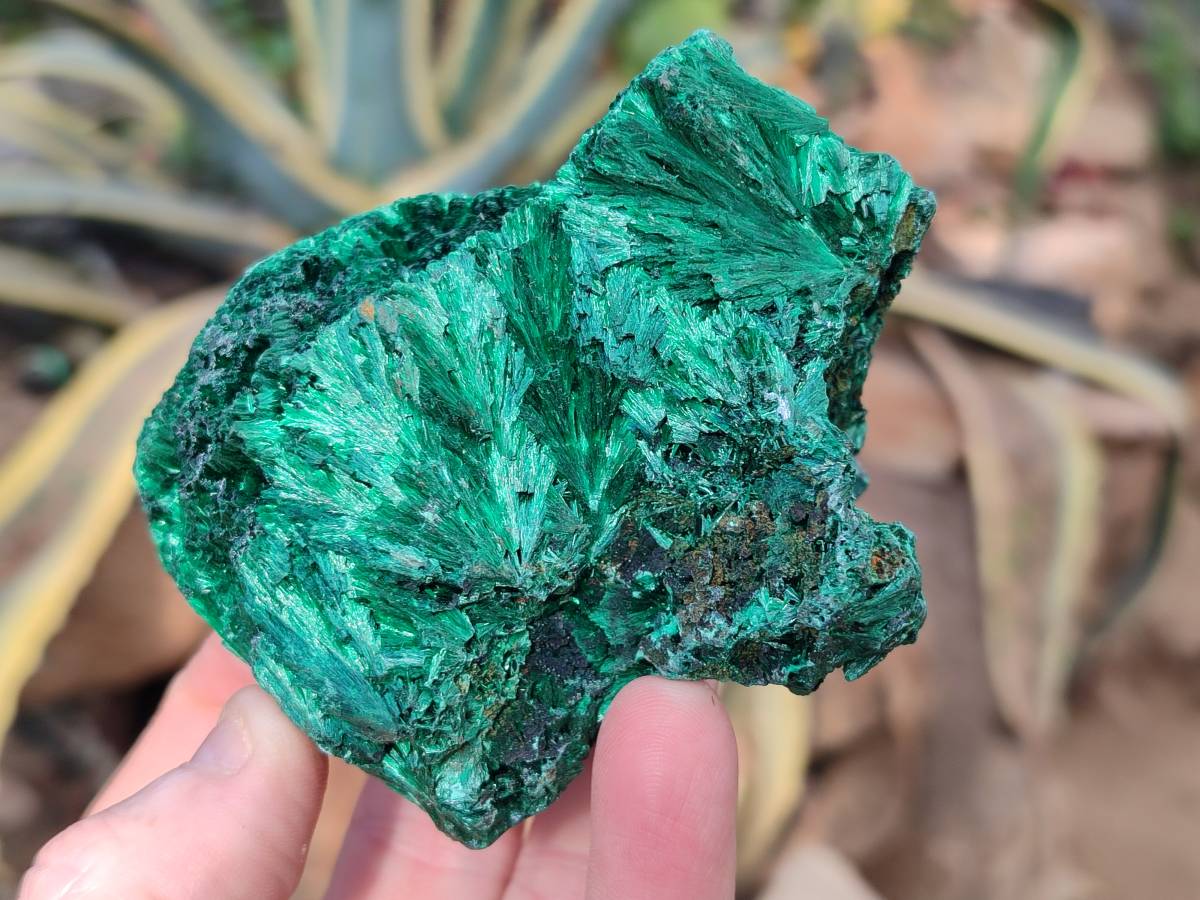 Natural Silky Malachite Specimens x 6 From Kasompe, Congo - Toprock Gemstones and Minerals 