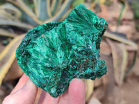 Natural Silky Malachite Specimens x 6 From Kasompe, Congo