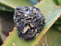 Natural Schorl Black Tourmaline and Feldspar Specimens x 12 From Namibia