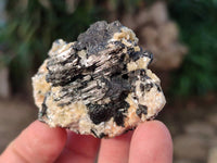 Natural Schorl Black Tourmaline and Feldspar Specimens x 12 From Namibia