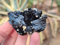 Natural Schorl Black Tourmaline and Feldspar Specimens x 12 From Namibia