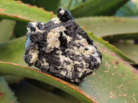 Natural Schorl Black Tourmaline and Feldspar Specimens x 12 From Namibia