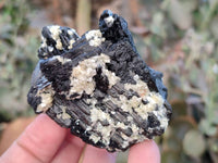 Natural Schorl Black Tourmaline and Feldspar Specimens x 12 From Namibia