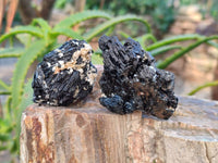 Natural Schorl Black Tourmaline and Feldspar Specimens x 12 From Namibia