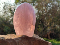 Polished Rose Quartz Standing Free Forms x 3 Madagascar - Toprock Gemstones and Minerals 