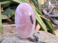Polished Rose Quartz Standing Free Forms x 3 Madagascar - Toprock Gemstones and Minerals 