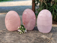 Polished Rose Quartz Standing Free Forms x 3 Madagascar - Toprock Gemstones and Minerals 
