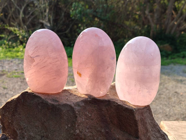 Polished Rose Quartz Standing Free Forms x 3 Madagascar - Toprock Gemstones and Minerals 