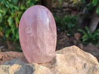 Polished Rose Quartz Standing Free Forms x 3 Madagascar - Toprock Gemstones and Minerals 