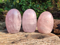 Polished Rose Quartz Standing Free Forms x 3 Madagascar - Toprock Gemstones and Minerals 