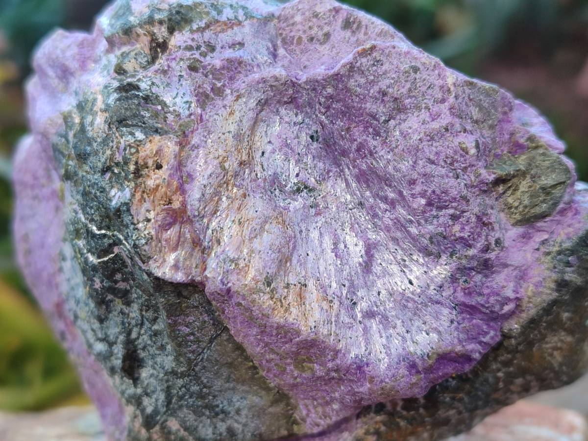 Natural Stichtite Cobbed Specimens x 6 From Barberton, South Africa - Toprock Gemstones and Minerals 